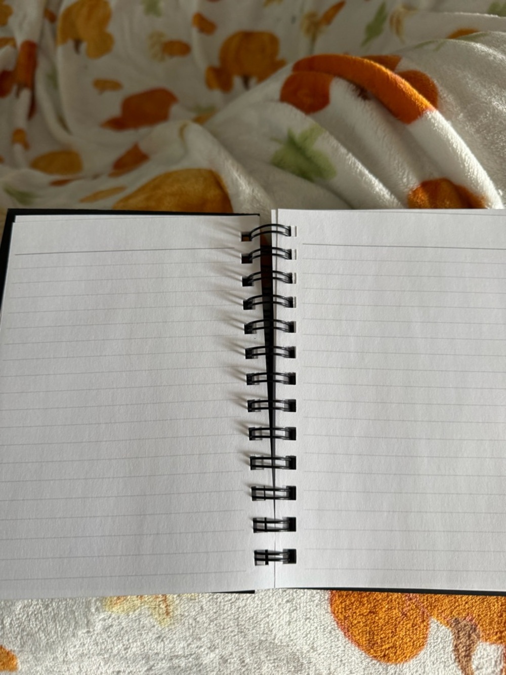 FedEx NFL Football-Texture Spiral Notebook - Brown- mini notebook, like new - Picture 5 of 6